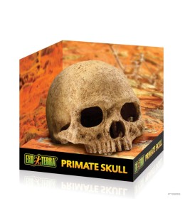 Terrarium Decor - Primate Skull