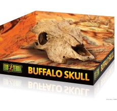 Cattle Skull - Terrarium Decor