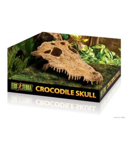 Crocodile skull - decor for terrarium
