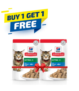 Hill's Science Plan Tender Chunks & Gravy Kitten OF Pouches 85gx12