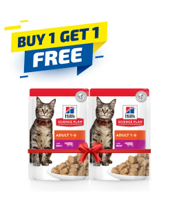 Hill's Science Plan Adult Wet Cat Food Beef Pouches 85gx12