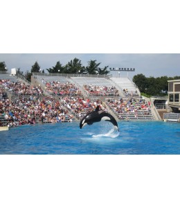 Sea World Single Ticket