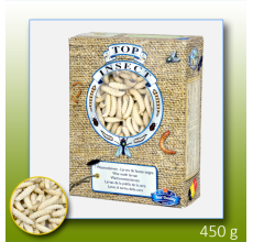 Kiezebrink Frozen Wax Moth Larvae 1 L