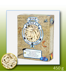 Frozen Wax Moth Larvae 1 L