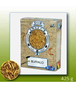 Frozen Buffaloworms 1 L