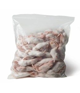 Small White Commercial Mice 10-20 g, 1 kg pack