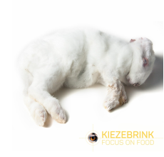 Kiezebrink Small Frozen Rabbits 8 pcs (8-9 kg box)
