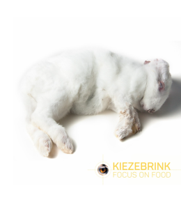 Small Frozen Rabbits 8 pcs (8-9 kg box)
