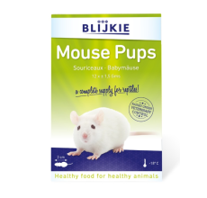 Kiezebrink Frozen Mouse Pups (Pinkies) in Blister Pack 1.5 g