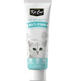 Kit Cat Daily Nutritional Supplement Gel For Cats & Kittens Multi-Vitamin (120g)