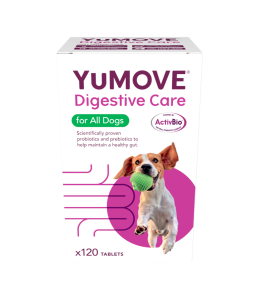 Lintbells Yumove Digestive Care 120 Tabs