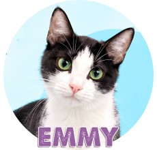 Emmy