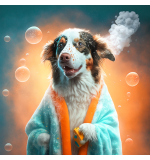 Dog X Large Full Grooming (In-Store)