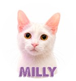 Milly