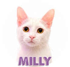 Milly