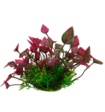 Chicos Bunch Aquatic Plants Series 8 x 12.5 Inch