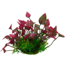 Chicos Bunch Aquatic Plants Series 8 x 12.5 Inch