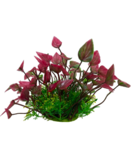 Chicos Bunch Aquatic Plants Series 8 x 12.5 Inch