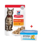 Hill's Science Plan Adult Wet Cat Food Chicken Pouches 85gx12