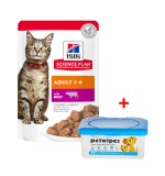 Hill's Science Plan Adult Wet Cat Food Beef Pouches 85g x 12