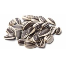 Vadigran Sunflower Seed Small Striped 500g