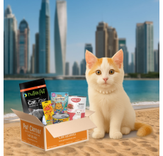 Pet Corner Surprise box for Kittens