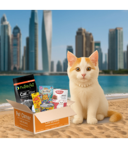 Pet Corner Surprise box for Kittens