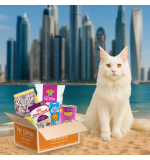 Pet Corner Surprise box for Adult cats