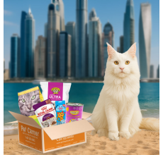 Pet Corner Surprise box for Adult cats