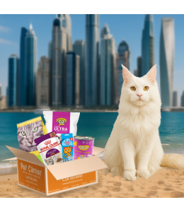 Pet Corner Surprise box for Adult cats