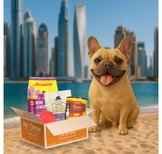 Pet Corner Surprise box for small dogs