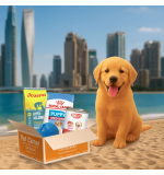 Pet Corner Surprise box for Puppies