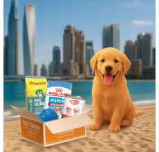 Pet Corner Surprise box for Puppies