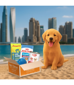 Pet Corner Surprise box for Puppies