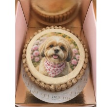 Pet Corner X Varak Collection : Dog cake With Picture