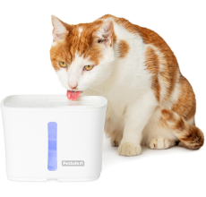 PetSafe Viva Pet Fountain for Cats and Small Dogs – 1.8L/64 oz, Indoor Cat Water Fountain with Whisper Quiet Pump, Dishwasher Safe, Easy to Clean, Water Filters Included