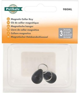 PetSafe Collar Key Pack - Silver