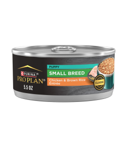 Pro Plan Puppy Small Breed Chicken And Brown Rice Entree Wet Dog Food 156g