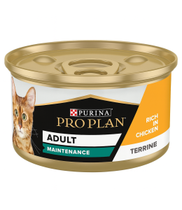 Purina Pro Plan Adult Maintenance, Wet Cat Food, Terrine rich in Chicken 85g