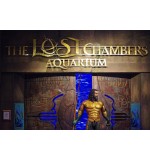 The Lost Chambers Aquarium Single Ticket