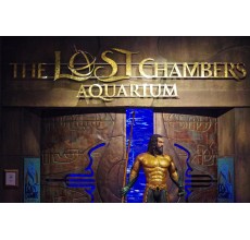 The Lost Chambers Aquarium Single Ticket