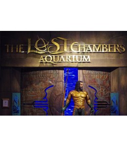 The Lost Chambers Aquarium Single Ticket