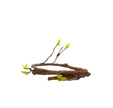Reptiworks Bend-A-Branch Vine - Single Branch 150Cm, Dia.7Mm