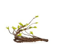 Reptiworks Bend-A-Branch Vine - Muilt Branch 140Cm, Dia.13Mm