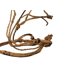 Reptiworks Bend-A-Branch Vine - Single Branch 150Cm, Dia.7Mm