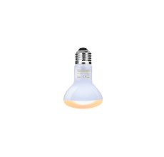 Reptiworks Nd Daylight&Nightlight Heat Lamps - 75Watts Combo PackBsl75 & Ifl75