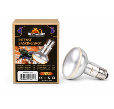 Reptiworks Intense Basking Spot 35W6.3X6.3X10Cm / 2.5"X2.5"X4