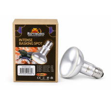 Reptiworks Intense Basking Spot 25W6.3X6.3X10Cm / 2.5"X2.5"X4