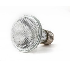 Reptiworks Halogen Spot Lamps 35W6.3X6.3X8.2Cm / 2.5"X2.5"X3.2"