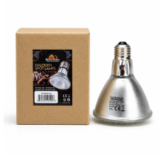 Reptiworks Halogen Spot Lamps 75W9.5X9.5X12Cm / 3.7"X3.7"X4.7"